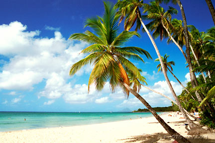 A LA PLAYA